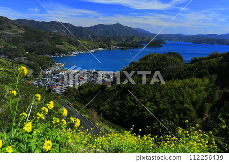 [Ehime Prefecture] Terraced fields and agricultural and fishing village scenery at Uwakaikarihama on a clear day 112256439