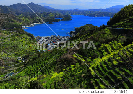 [Ehime Prefecture] Terraced fields and agricultural and fishing village scenery at Uwakaikarihama on a clear day 112256441