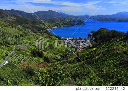 [Ehime Prefecture] Terraced fields and agricultural and fishing village scenery at Uwakaikarihama on a clear day 112256442