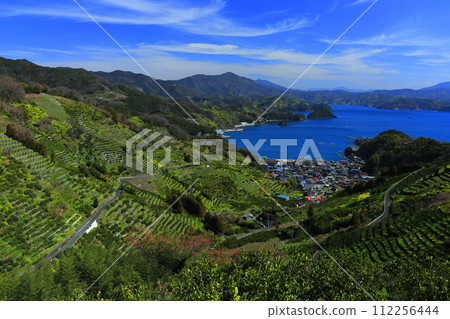 [Ehime Prefecture] Terraced fields and agricultural and fishing village scenery at Uwakaikarihama on a clear day 112256444