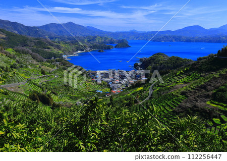 [Ehime Prefecture] Terraced fields and agricultural and fishing village scenery at Uwakaikarihama on a clear day 112256447