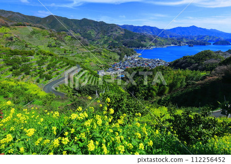 [Ehime Prefecture] Terraced fields and agricultural and fishing village scenery at Uwakaikarihama on a clear day 112256452