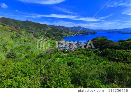 [Ehime Prefecture] Terraced fields and agricultural and fishing village scenery at Uwakaikarihama on a clear day 112256456