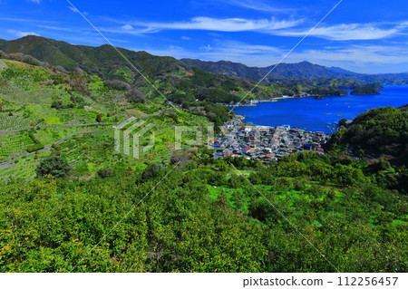 [Ehime Prefecture] Terraced fields and agricultural and fishing village scenery at Uwakaikarihama on a clear day 112256457