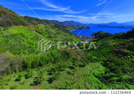 [Ehime Prefecture] Terraced fields and agricultural and fishing village scenery at Uwakaikarihama on a clear day 112256469