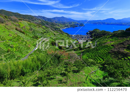 [Ehime Prefecture] Terraced fields and agricultural and fishing village scenery at Uwakaikarihama on a clear day 112256470