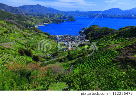 [Ehime Prefecture] Terraced fields and agricultural and fishing village scenery at Uwakaikarihama on a clear day 112256472