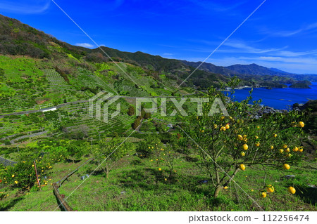 [Ehime Prefecture] Terraced fields and agricultural and fishing village scenery at Uwakaikarihama on a clear day 112256474