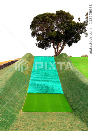 Grass sliding, grass sledding, Hibikinada Green Park, Fukuoka Prefecture, Kitakyushu City, Wakamatsu Ward, Park 112256688
