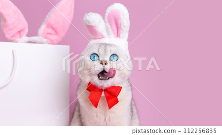 A funny white cat in a hat with bunny ears and a red bow tie,licks the muzzle with his tongue 112256835