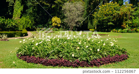 A picturesque botanical garden with exotic tropical plants. Kandy, Sri Lanka. 112256867