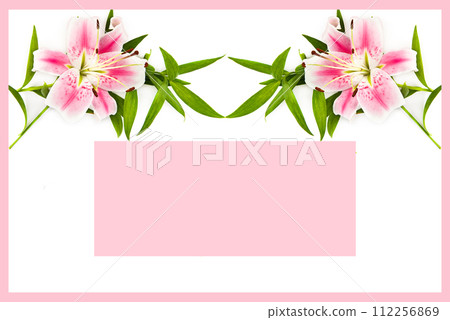 Delicate pink lily flowers isolated on a white. Collage. There is free space for text. 112256869
