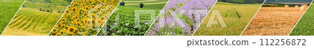 Fields with agricultural crops. Photo Collage. Wide photo. 112256872