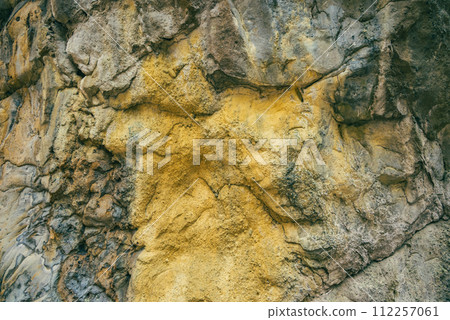 [Yanseiji] Rock surface of Suijiniwa [Ikusaka Village, Higashichikuma District] 112257061