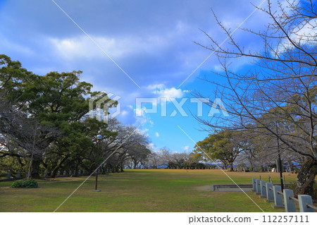 德島市 德島中央公園 城山山頂景觀 112257111