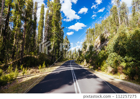 Gordon River Road Landscape in Tasmania Australia 112257275