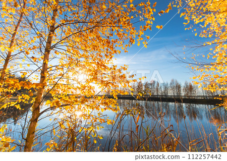 tranquil lake surrounded by orange yellow foliage lush trees in the foreground, picturesque natural landscape 112257442