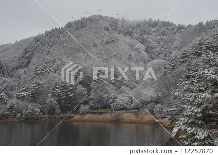 The contrast of white snow in the forest of Lake Kawaguchi 112257870