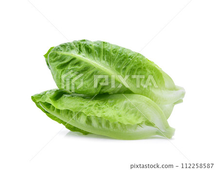 fresh baby cos,lettuce isolated on white background fresh baby cos,lettuce isolated on white background 112258587