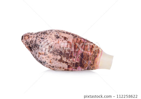 taro isolated on white background 112258622