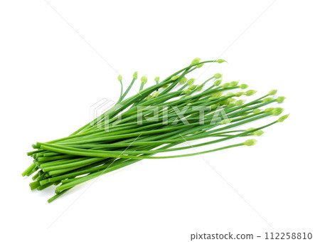 Garlic chives isolated on white background Garlic chives isolated on white background 112258810