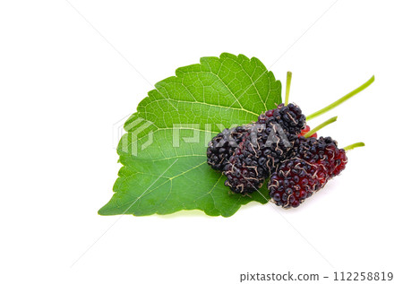 Mulberry with leaf Isolated on white background Mulberry with leaf Isolated on white background 112258819