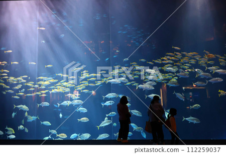 aquanuum aquanuum 112259037