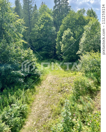 Cable car in the mountains in summer. Carpathians, Ukraine 112259134