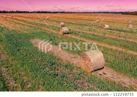 Rural landscape in the evening. Field after harvesting with straw bales 112259735