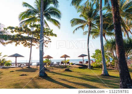 Palm trees on an island by the beach in the morning 112259781