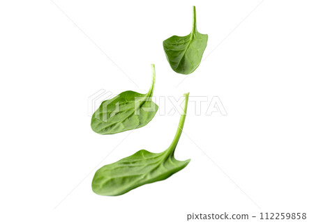 Heap of fresh green spinach leaves isolated on white. Heap of fresh green spinach leaves isolated on white. 112259858