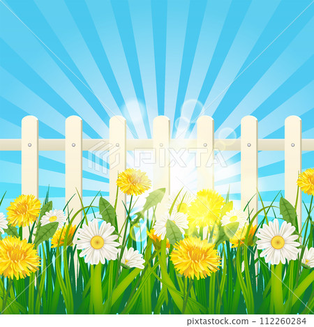 Spring green grass, daisy and dandelion flowers, white fence 112260284