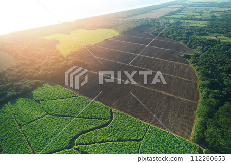 Brown empty agriculture field 112260653