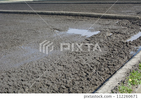 春稻田 春稻田 112260671