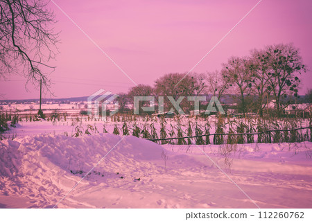 Snowy field and village during sunrise. Pink toning 112260762