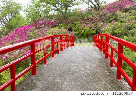 淡輪園杜鵑花群落（愛宕山公園）/朱紅色復古橋（上側：京橋/下側：聖壽橋） 112260957
