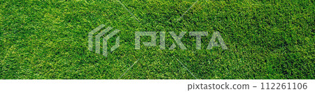 Green lawn for background Green lawn for background 112261106