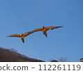 鳥兒快樂地飛翔 112261119