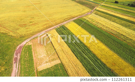 Aerial view of cultivated soy and wheat field in summer. Rural landscape Aerial view of cultivated soy and wheat field in summer. Rural landscape 112261311