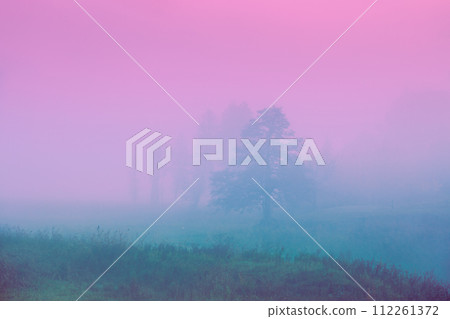 Sunrise in the field in the early misty morning. Rural landscape 112261372