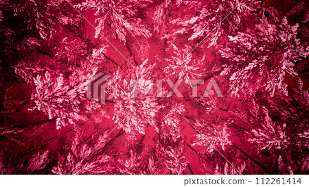 Snowy pine forest in winter top view. Toning in trendy in 2023 Viva magenta color. Nature background Snowy pine forest in winter top view. Toning in trendy in 2023 Viva magenta color. Nature background 112261414