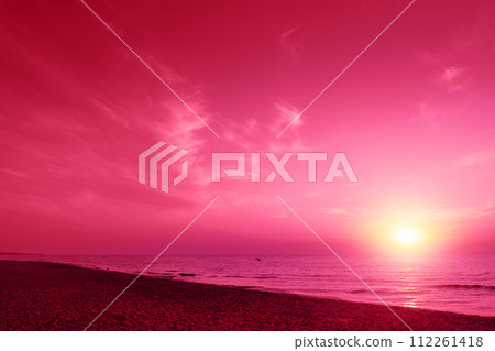 Seascape in the early morning in trendy viva magenta color. Sunrise over the sea. Natural landscape Seascape in the early morning in trendy viva magenta color. Sunrise over the sea. Natural landscape 112261418