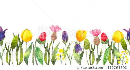 Seamless border with flowers.Watercolor illustration. Spring botanical frame of wildflowers for Easter. Hand drawn isolated art. Seasonal decoration with tulips, camellia, thistles and bluebells 112261592