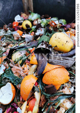 compost texture from household waste compost texture from household waste 112261998