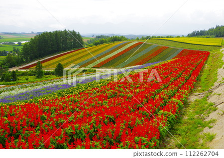 Four seasons Ayana no Hill in Hokkaido Four seasons Ayana no Hill in Hokkaido 112262704