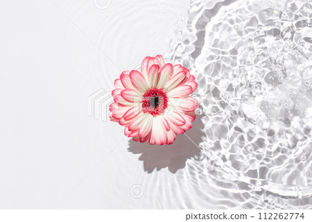 Sunny summer background with gerbera flower. Sunny summer background with gerbera flower. 112262774