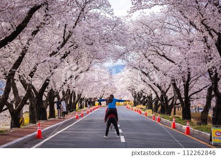 Beautiful cherry blossom tunnel and cherry trees on both sides of the road at the Cherry Blossom Festival in Gyeongju, South Korea.. Beautiful cherry blossom tunnel and cherry trees on both sides of the road at the Cherry Blossom Festival in Gyeongju, South Korea.. 112262846