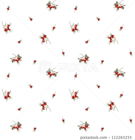 Rose hip red berries, watercolor seamless minimalistic floral pattern on white background. For use in design, fabric, textile, scrapbooking, wallpaper, wrapping papper, gift boxes, greeting cards, bac Rose hip red berries, watercolor seamless minimalistic floral pattern on white background. For use in design, fabric, textile, scrapbooking, wallpaper, wrapping papper, gift boxes, greeting cards, bac 112263255