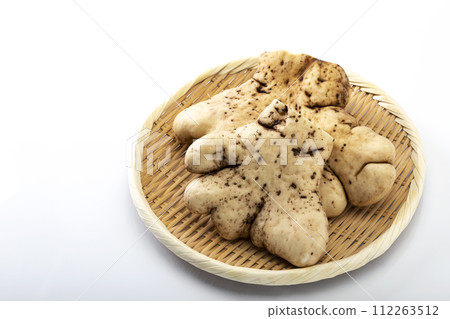 Yamatoimo in a tray with a white background 112263512