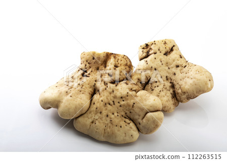 白色背景上的大和島 112263515